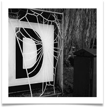 Frosty Web, Dane Bank Road - Dave Teehan
